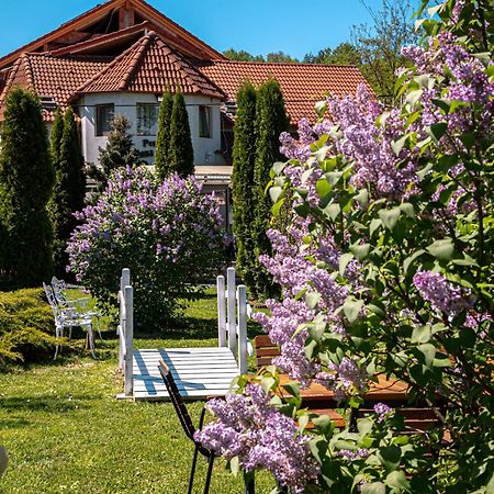 Pensiunea Poiana Avrigului Exteriör bild